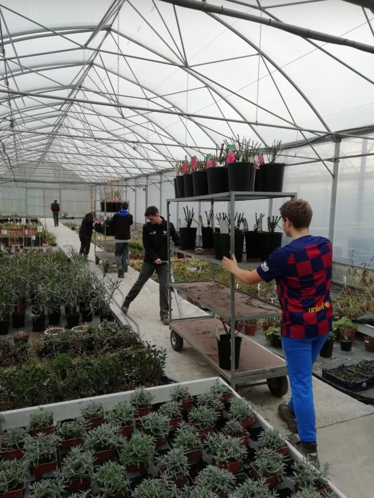 Eleve en prod horti